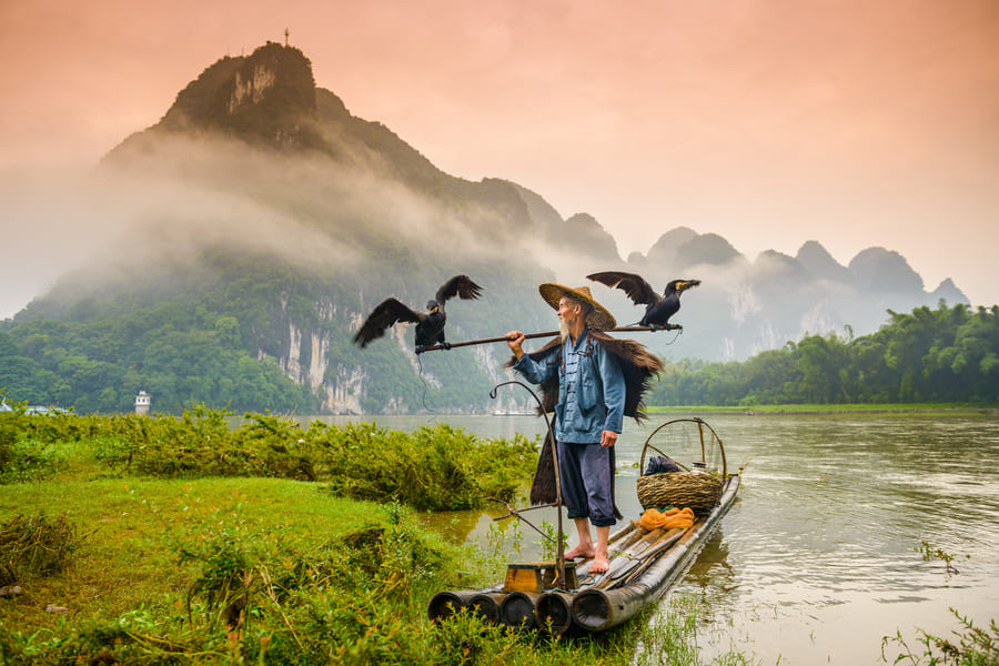 Pescador en yangshuo-cormoran
